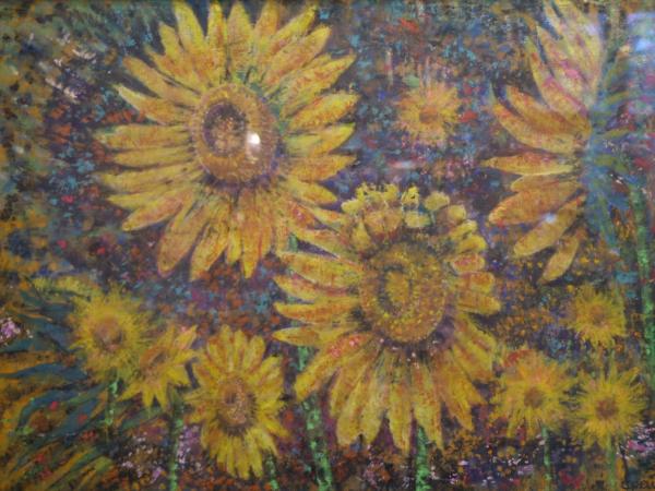 Beautiful Sunflowers