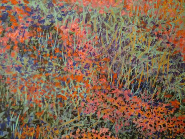 Spring Field
